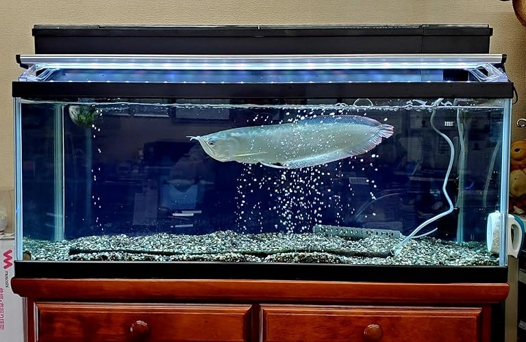 Amazon | GEX AQUARIUM マリーナスリム900LEDセット 黒枠ガラス水槽